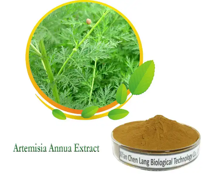 Artemisinin Extract Powder.jpg